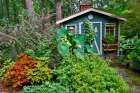 USA, Washington State, Sammamish. Garden and shed Art Print